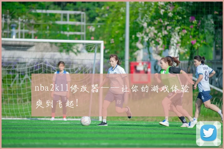 nba2k11修改器——让你的游戏体验爽到飞起!
