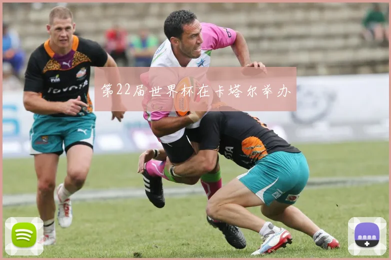 第22届世界杯在卡塔尔举办