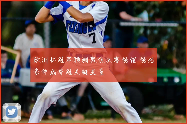欧洲杯冠军预测聚焦决赛场馆 场地条件成夺冠关键变量