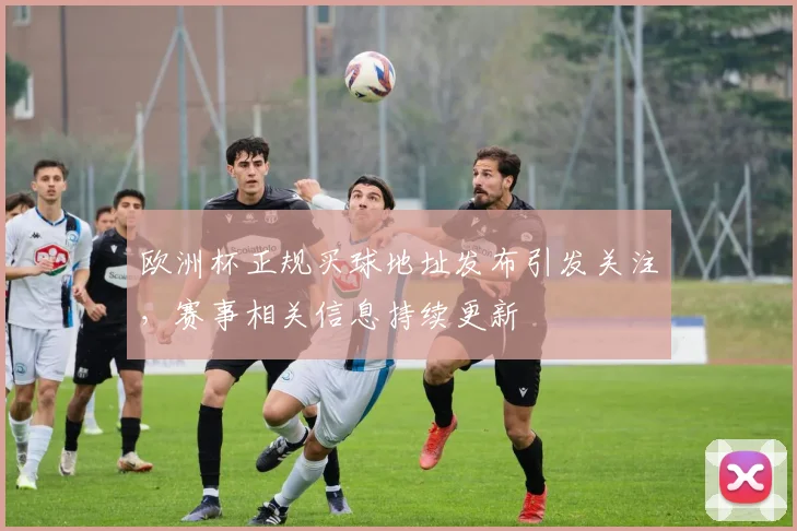 欧洲杯正规买球地址发布引发关注,赛事相关信息持续更新
